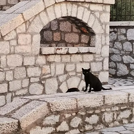 Traditional Stone House Vila Areopoli